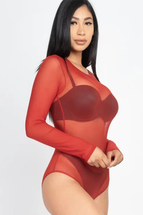 Sexy Sheer Mesh Long Sleeve Bodysuit