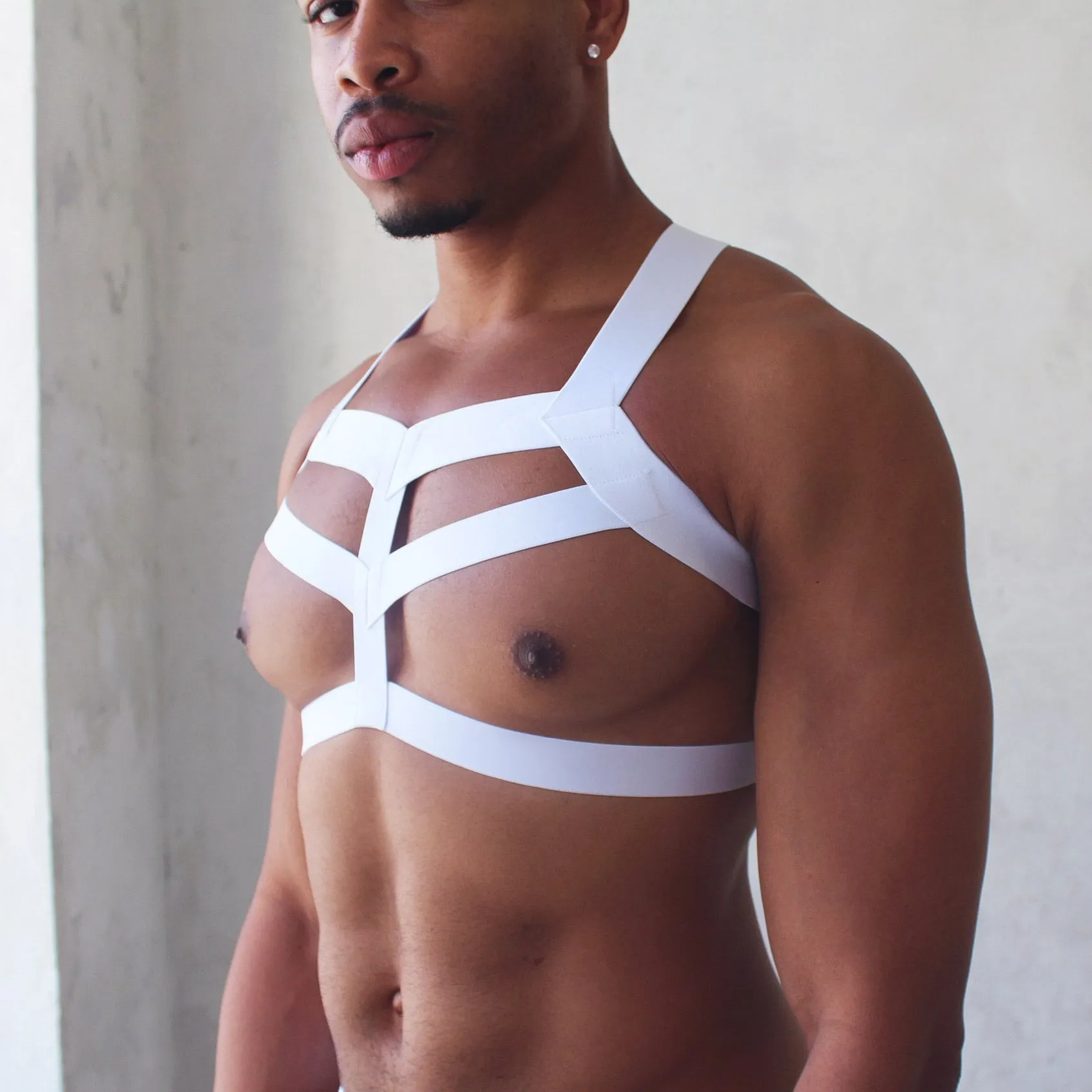 Triple Elastic Harness with Briefs